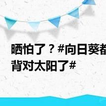 晒怕了？#向日葵都开始背对太阳了#