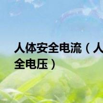 人体安全电流（人体安全电压）