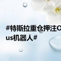 #特斯拉重仓押注Optimus机器人#