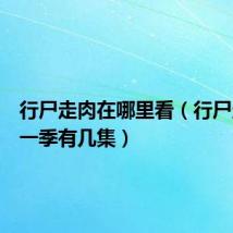行尸走肉在哪里看(行尸走肉第一季有几集)
