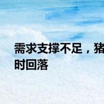 需求支撑不足，猪价短时回落