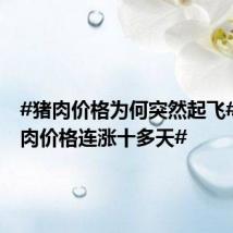 #猪肉价格为何突然起飞#?#猪肉价格连涨十多天#