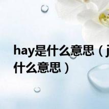 hay是什么意思(jay是什么意思)