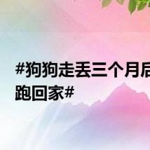 #狗狗走丢三个月后自己跑回家#