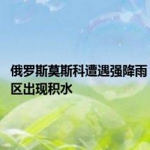俄罗斯莫斯科遭遇强降雨 局部地区出现积水