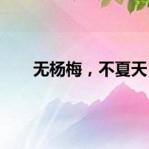 无杨梅，不夏天