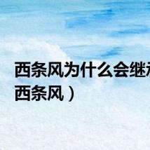 西条风为什么会继承光（西条风）