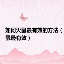 如何灭鼠最有效的方法(如何灭鼠最有效)