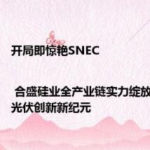 开局即惊艳SNEC | 合盛硅业全产业链实力绽放,引领光伏创新新纪元