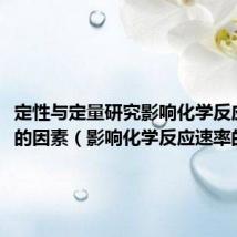 定性与定量研究影响化学反应速率的因素（影响化学反应速率的因素）