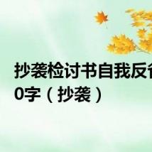 抄袭检讨书自我反省1000字（抄袭）