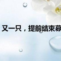 又一只，提前结束募集！