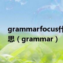 grammarfocus什么意思(grammar)