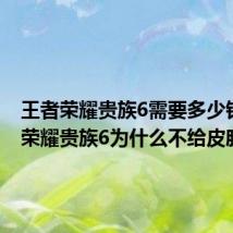 王者荣耀贵族6需要多少钱 王者荣耀贵族6为什么不给皮肤