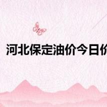 河北保定油价今日价格