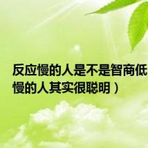 反应慢的人是不是智商低(反应慢的人其实很聪明)