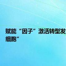 赋能“因子”激活转型发展“微细胞”