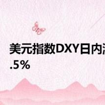 美元指数DXY日内涨超0.5%