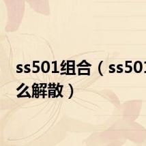 ss501组合（ss501为什么解散）
