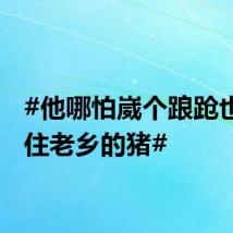 #他哪怕崴个踉跄也要护住老乡的猪#