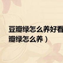 豆瓣绿怎么养好看（豆瓣绿怎么养）