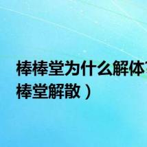 棒棒堂为什么解体?（棒棒堂解散）