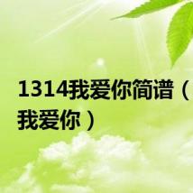 1314我爱你简谱（1314我爱你）