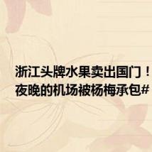 浙江头牌水果卖出国门!#杭州夜晚的机场被杨梅承包#