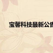宝馨科技最新公告