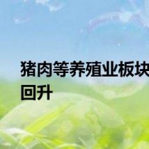 猪肉等养殖业板块探底回升