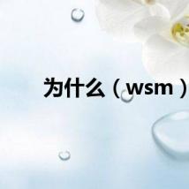 为什么（wsm）