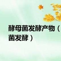 酵母菌发酵产物（酵母菌发酵）
