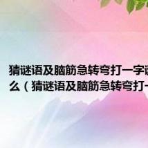 猜谜语及脑筋急转弯打一字谜是什么(猜谜语及脑筋急转弯打一字谜)