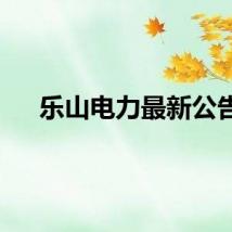 乐山电力最新公告