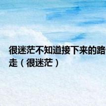 很迷茫不知道接下来的路该怎么走（很迷茫）