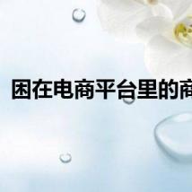 困在电商平台里的商家
