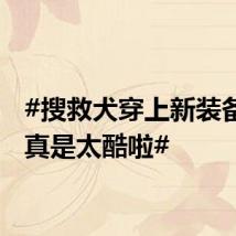 #搜救犬穿上新装备看着真是太酷啦#
