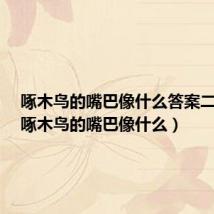啄木鸟的嘴巴像什么答案二年级(啄木鸟的嘴巴像什么)