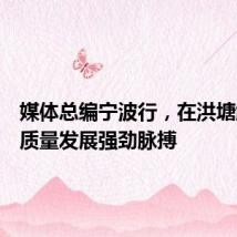 媒体总编宁波行,在洪塘触摸高质量发展强劲脉搏