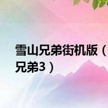 雪山兄弟街机版（雪山兄弟3）