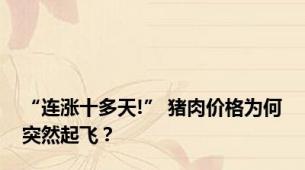 “连涨十多天!” 猪肉价格为何突然起飞？