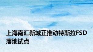 上海南汇新城正推动特斯拉FSD落地试点