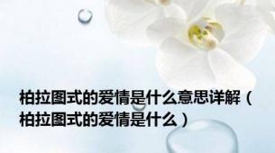 柏拉图式的爱情是什么意思详解（柏拉图式的爱情是什么）