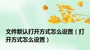 文件默认打开方式怎么设置（打开方式怎么设置）