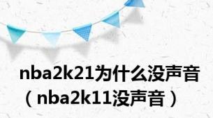 nba2k21为什么没声音（nba2k11没声音）