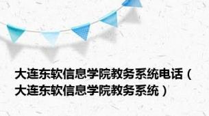 大连东软信息学院教务系统电话（大连东软信息学院教务系统）