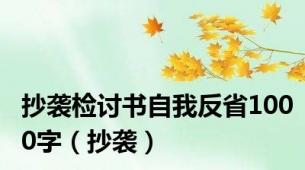 抄袭检讨书自我反省1000字（抄袭）