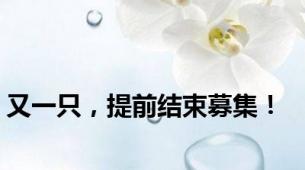 又一只，提前结束募集！