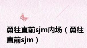 勇往直前sjm内场（勇往直前sjm）