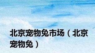 北京宠物兔市场（北京宠物兔）